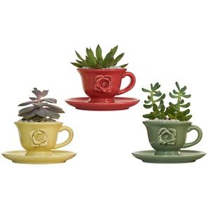 Succulent Teacup Planter Pots with Drainage Hole